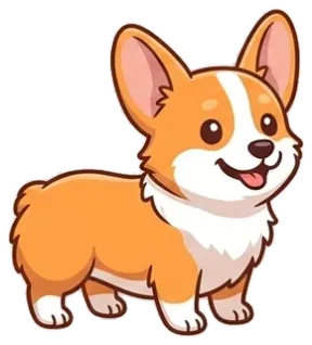 Chó Chó Corgi