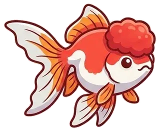 Cá vàng Oranda