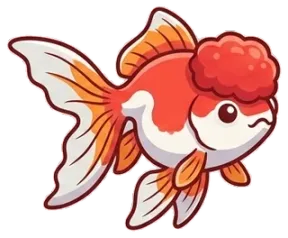 Cá vàng Cá vàng Oranda