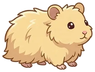 Hamster Bear lông dài
