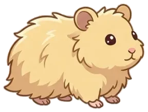 Hamster Hamster Bear lông dài
