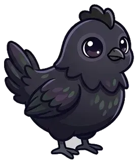 Gà mái Gà Ayam Cemani